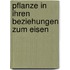Pflanze in Ihren Beziehungen Zum Eisen