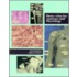 Photo Atlas For Anatomy And Physiology