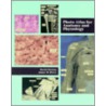 Photo Atlas For Anatomy And Physiology by James W. Perry