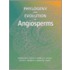 Phylogeny And Evolution Of Angiosperms