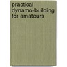 Practical Dynamo-Building for Amateurs door Frederick Walker