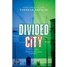 Rollercoasters:the Divided City Cls Pk by Ms Theresa Breslin