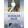 Schüßler-Salze für Pferd und Reiter door Claudia Bergmann-Scholvien