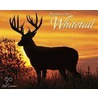 Seasons of the Whitetail 2011 Calendar door Onbekend