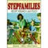 Stepfamilies From Various Perspectives