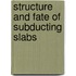 Structure And Fate Of Subducting Slabs