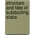 Structure And Fate Of Subducting Slabs