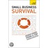 Teach Yourself Small Business Survival