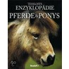 Tessloffs Enzyklopädie Pferde & Ponys door Sandy Ransford