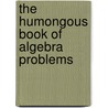 The Humongous Book of Algebra Problems door W. Michael Kelley