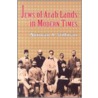 The Jews Of Arab Lands In Modern Times door Norman A. Stillman