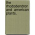The Rhododendron And  American Plants.