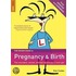 The Rough Guide To Pregnancy And Birth