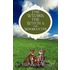 The Wizard, the Witch & the Woodcutter
