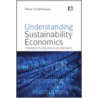 Understanding Sustainability Economics door Peter Soderbaum