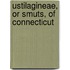 Ustilagineae, Or Smuts, of Connecticut