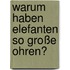 Warum haben Elefanten so große Ohren?
