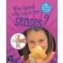 What Happens When You Use Your Senses?