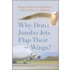 Why Don't Jumbo Jets Flap Their Wings?