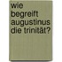 Wie begreift Augustinus die Trinität?
