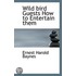 Wild Bird Guests How To Entertain Them