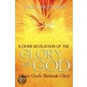 A Divine Revelation Of The Glory Of God door Faith Shoemaker