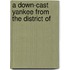 A Down-Cast Yankee From The District Of