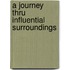 A Journey Thru Influential Surroundings