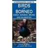 A Photographic Guide To Birds Of Borneo door George Davidson