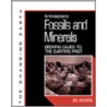 An Introduction To Fossils And Minerals door Jon Erickson
