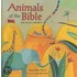 Animals Of The Bible For Young Children