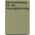 Bibi Blocksberg 02. Der Hexengeburtstag