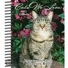 Cats We Love (Sueellen Ross) 2011 Diary door Sueellen Ross