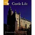 Clinker Castle Yellow Level Non-Fiction