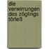 Die Verwirrungen des Zöglings Törleß