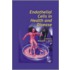 Endothelial Cells in Health and Disease