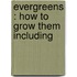Evergreens : How To Grow Them Including