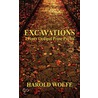 Excavations, Twenty Oedipal Prose Poems door Harold Wolfe
