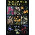 Florida Wild Flower And Roadside Plants