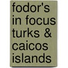 Fodor's in Focus Turks & Caicos Islands door Fodor Travel Publications