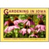 Gardening In Iowa And Surrounding Areas