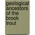 Geological Ancestors Of The Brook Trout