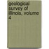 Geological Survey Of Illinois, Volume 4