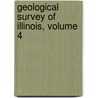 Geological Survey Of Illinois, Volume 4 by Survey Illinois State