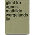 Glimt Fra Agnes Mathilde Wergelands Liv