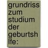 Grundriss Zum Studium Der Geburtsh Lfe: door Ernst Bumm