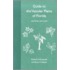 Guide To The Vascular Plants Of Florida