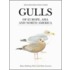 Gulls Of Europe, Asia And North America