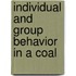 Individual And Group Behavior In A Coal