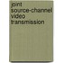 Joint Source-Channel Video Transmission